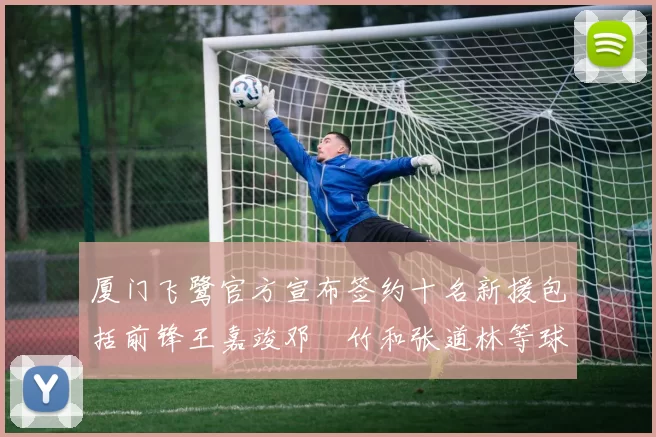 厦门飞鹭官方宣布签约十名新援包括前锋王嘉竣邓棽竹和张道林等球员